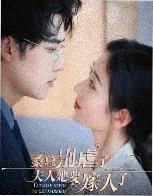 雾港迷局 热播电视剧全集手机免费在线观看